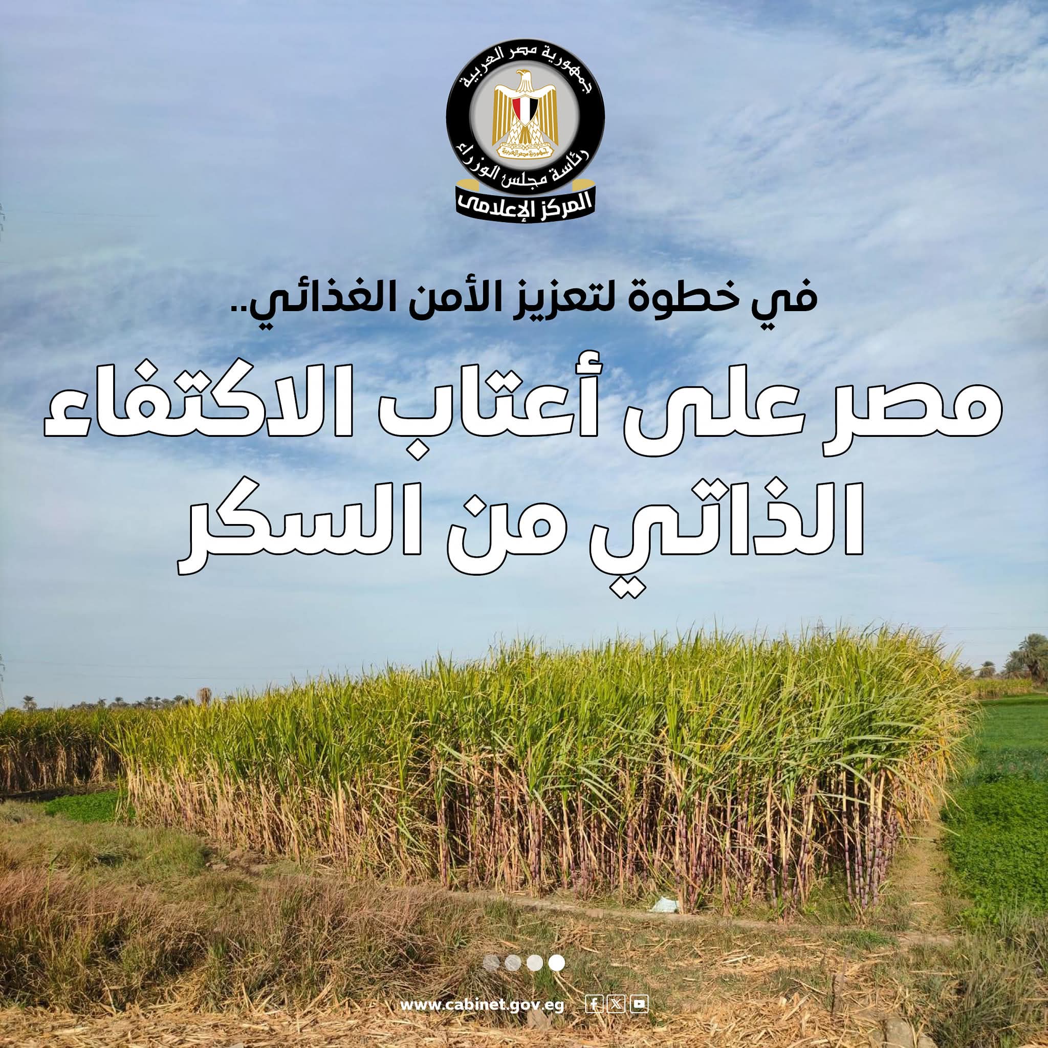 مجلس الوزراء: مصر على أعتاب الاكتفاء الذاتي من السكر.. والأرصدة تكفي 13 شهرا