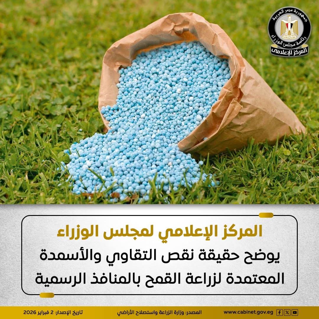 حقيقة نقص التقاوي والأسمدة المعتمدة لزراعة القمح بالمنافذ الرسمية