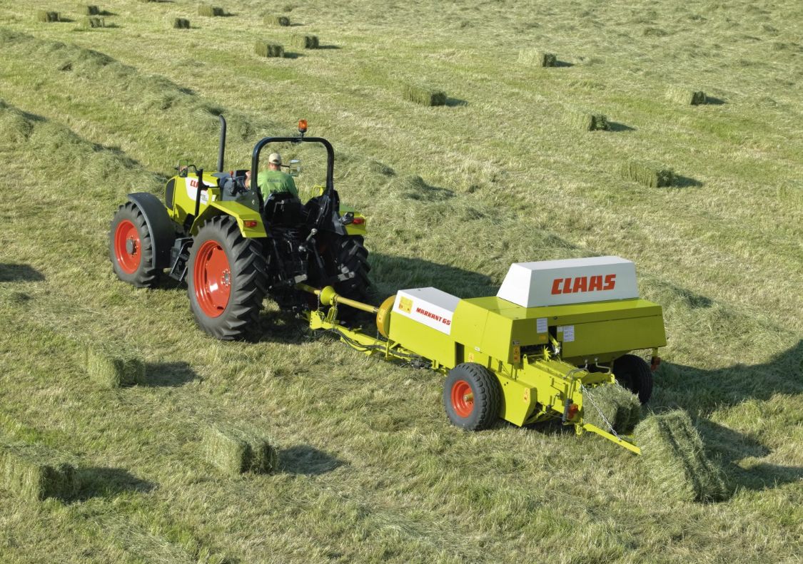 وديان تطلق مشروعها الاستراتيجي لزراعة وتصنيع الأعلاف بغرب المنيا على مساحة 2000 فدان لتعزيز الصادرات المصرية